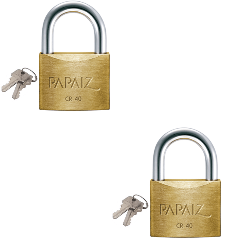 Cr40-papaiz-canvas3