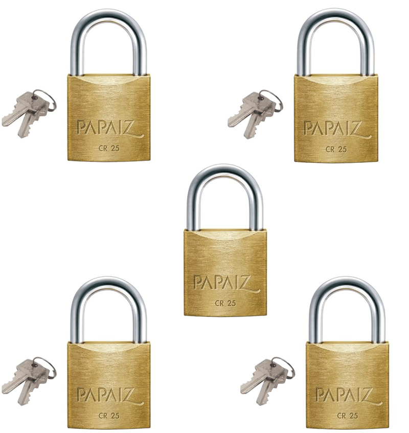 cr-25-papaiz2