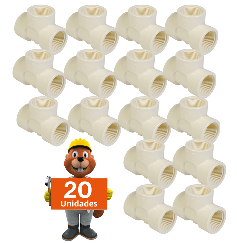 0300-0301-0303-Roscavel2